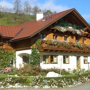 Haus Loidl Sankt Gallen Exterior photo