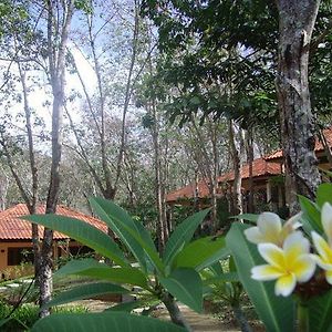 Koh Mook Rubber Tree Bungalows Ko Mook Exterior photo