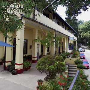 Alasia Hotel Kasauli Exterior photo