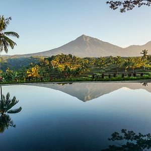Ijen Resort And Villas - The Hidden Paradise Banyuwangi (East Java) Exterior photo