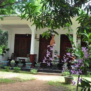 Sigiriya Flower Guest Exterior photo