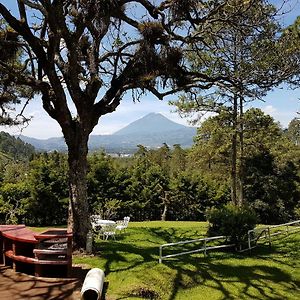 Bosque Macadamia El Tejar Exterior photo