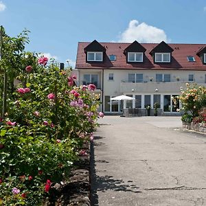 Felshof - Weingut & Gaestehaus Sommerhausen Exterior photo