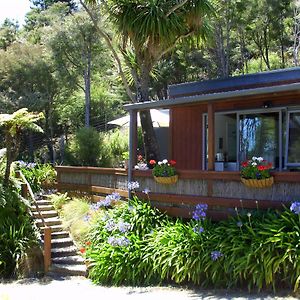 Cabbage Tree Chalet Parapara Room photo