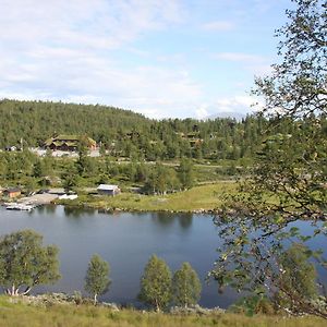 Lemonsjo Fjellstue Og Hyttegrend Randsverk Exterior photo