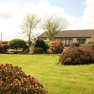 Torine House B&B Killorglin Exterior photo