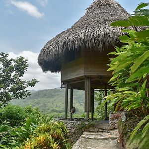 Ecohabs Bosques Del Tayrona Calabazo (Magdalena) Exterior photo