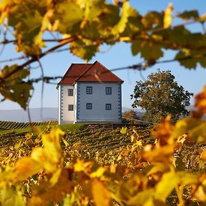 Wine Grower'S Mansion Zlati Gric Slovenske Konjice Exterior photo