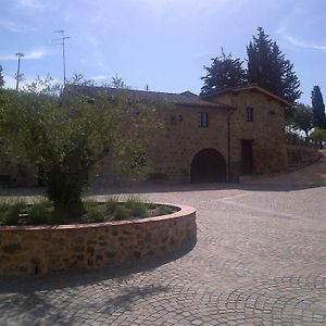 Agriturismo Bonacchi Montalcino Exterior photo