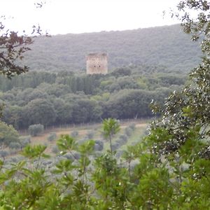 Tenuta Uccellina Magliano in Toscana Exterior photo