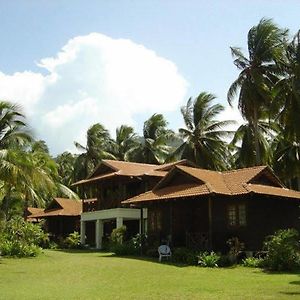 D'Coconut Island Resort Besar Island (Johor) Exterior photo