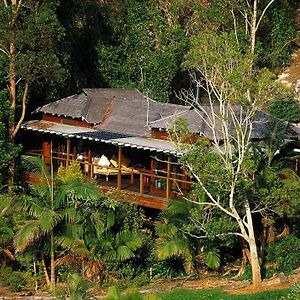 Wollumbin Palms Rainforest Retreat Uki Exterior photo