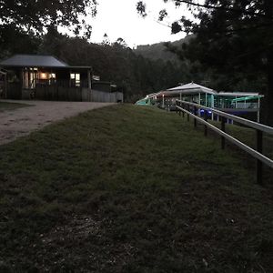 Ingleside Stud Farm Tallebudgera Exterior photo