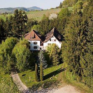 Gaestehaus Kaltenbach Staufen Exterior photo