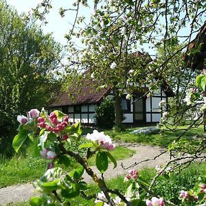 Ferienhaus Deichgraf 86 Im Feriend Bachenbrock Exterior photo