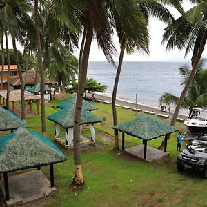 Saltitude Dive & Beach Resort Mabini (Batangas) Exterior photo