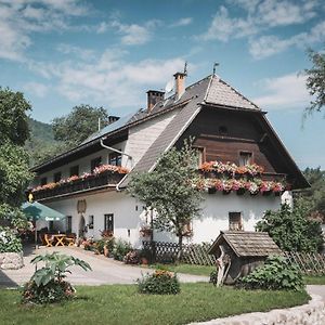 Urlaub Am Bauernhof Feldbauer Landl (Styria) Exterior photo