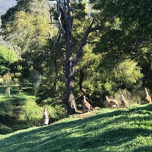 Ironstone Romantic Couples Retreat Halls Gap Exterior photo