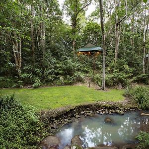 Narrows Escape Rainforest Retreat Montville Exterior photo