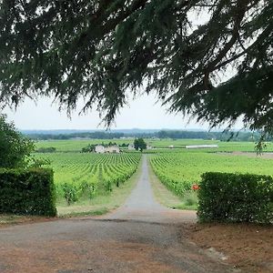 A L'Ombre De La Treille -Proche Saint-Emilion Saint-Magne-de-Castillon Exterior photo