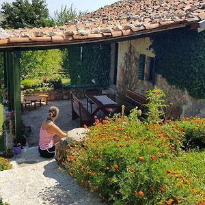 Old House Nilovic Livari Exterior photo