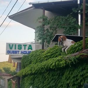 Guest House Vista Signagi Exterior photo