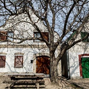 Berger Pince-vendégház, Hajósi pincék Hajos Exterior photo