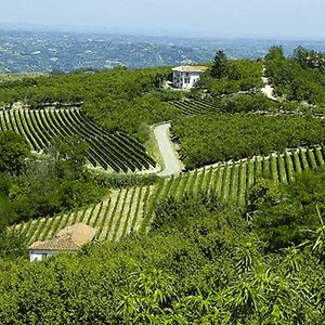 Agriturismo Cascina Anri Mango Exterior photo