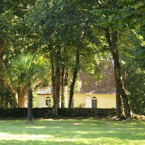 La Chapelle Du Chateau Gite Pouillon Exterior photo