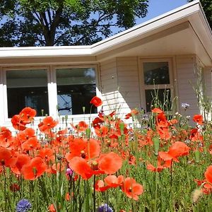 Het Findament Tiny House Hilversum Exterior photo