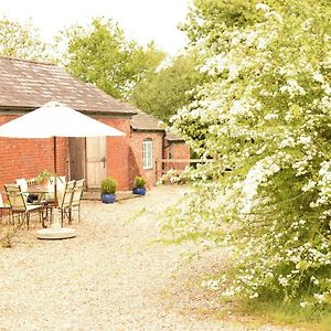 The Barn, Ridouts Farm Haselbury Bryan Exterior photo