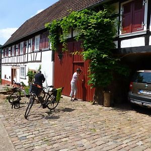 Feriengaleriewohnung Im Denkmal Stilvoll-Komfortabel Baubiologisch Erlenbach (Rhineland-Palatinate) Exterior photo