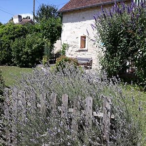 Le Misteflore Coussay-les-Bois Exterior photo