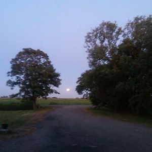 Het Friese Landschap Lemmer Exterior photo