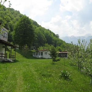 Bungalows Zdravets Berkovitsa Exterior photo