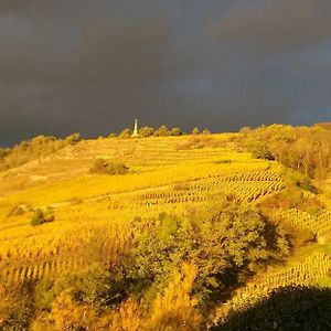 Wine Passion Panoramic Chavanay Exterior photo