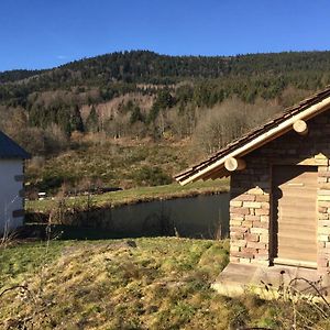 Gite Grand Standing Dans Cadre Idyllique Saint-Etienne-les-Remiremont Exterior photo