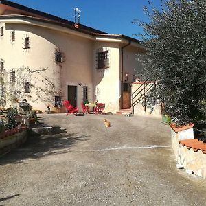 Casa Fra Gli Ulivi Di Giuseppe Sonnino Exterior photo