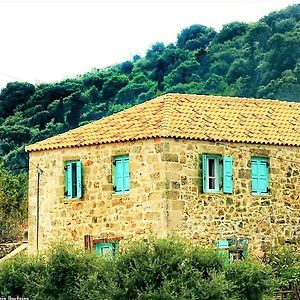 The House. Light & Stone. Lixouri Exterior photo