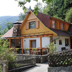 Ferienhaus Bauer Trattenbach (Lower Austria) Exterior photo