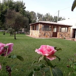 Agriturismo Quattro Mori Porto Torres Exterior photo