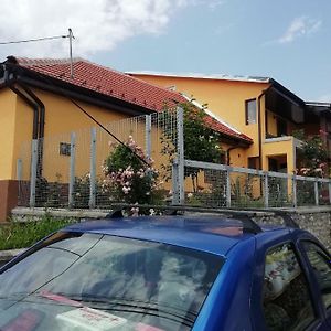 Casa Darius Orşova Exterior photo