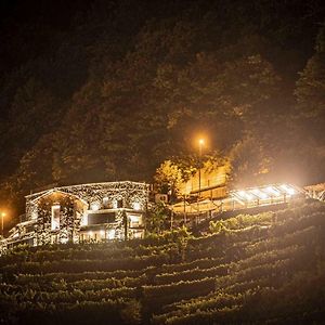 Agriturismo Bio Ca' Pianazòla Chiavenna Exterior photo