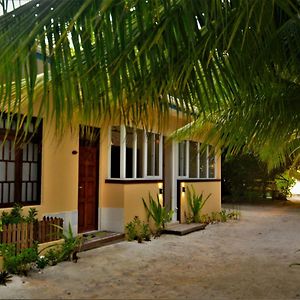 Dhigurah Beach Inn Dhigurah (Alif Dhaal Atoll) Exterior photo