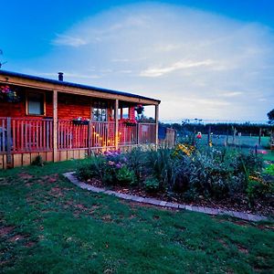 Cherry Tree Glamping Stroud (Gloucestershire) Exterior photo