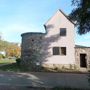 Ferienhaus Kyffhaeuser Bad Frankenhausen Exterior photo