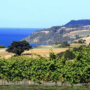 Mallavale Farm, Boat Harbour Exterior photo