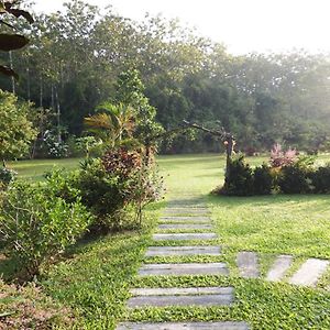 Noks Garden Resort Chiang Rai Exterior photo