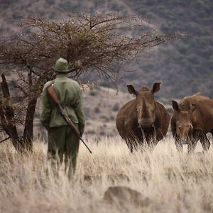 Elewana Lewa Safari Camp Meru Exterior photo