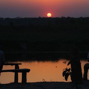 Jungle Sunset Camp Sauraha Exterior photo